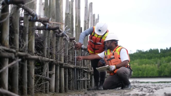 
					Estuary Structure, Upaya Freeport Mempercepat Restorasi Ekosistem Mangrove di Pesisir Mimika