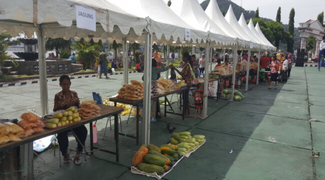 Ilustrasi - dok papua.go.id