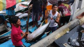 Nelayan sedang mengangkut hasil tangkapan - dok KKP