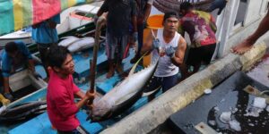 Nelayan sedang mengangkut hasil tangkapan - dok KKP