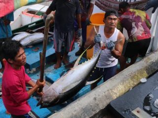 Nelayan sedang mengangkut hasil tangkapan - dok KKP