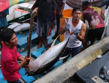 Nelayan sedang mengangkut hasil tangkapan - dok KKP