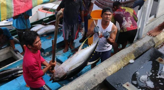 Nelayan sedang mengangkut hasil tangkapan - dok KKP