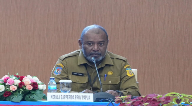 Plt Kepala Bapperida Provinsi Papua, Jimmy Thesia - dok Papua.go.id