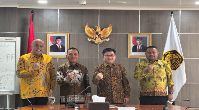 Pj Gubernur Papua didampingi Ketua DPR Papua dan Ketua Kadin Papua dalam kunjungannya ke Kementerian ESDM - dok papua.go.id