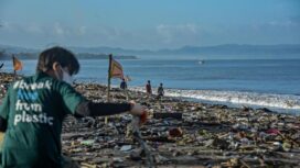 Dok Greenpeace