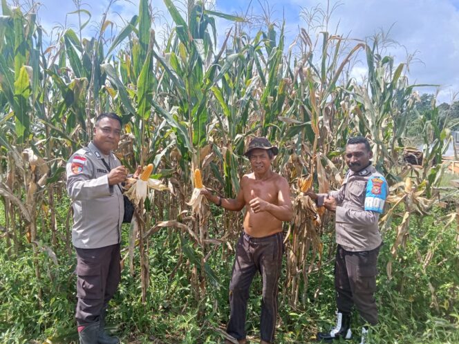 
					Dok Polres Keerom