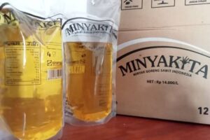 dok mitra sembako 