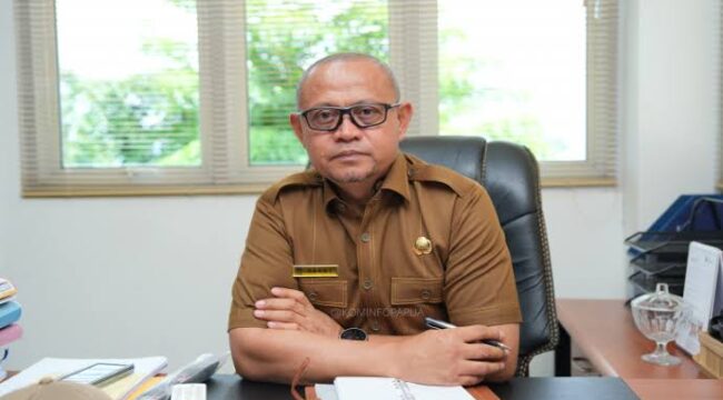 Plt Kepala Inspektorat Daerah Papua, Danny Korwa - dok Papua.go.id