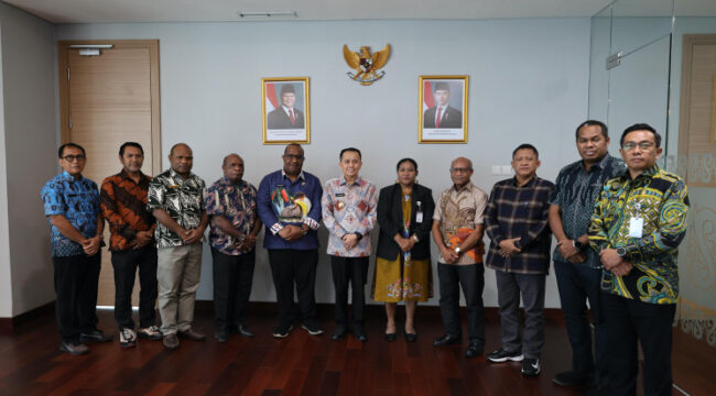 Dok Papua.go.id 