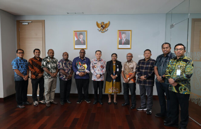 
					Dok Papua.go.id 