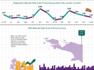Grafik berdasarkan data BPS Papua 