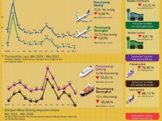 Grafik perkembangan transportasi di Provinsi Papua yang diterbitkan BPS Papua