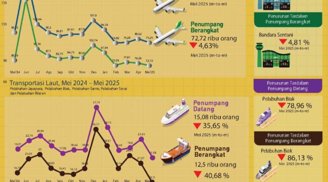 Grafik perkembangan transportasi di Provinsi Papua yang diterbitkan BPS Papua