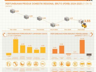 Data BPS Provinsi Papua