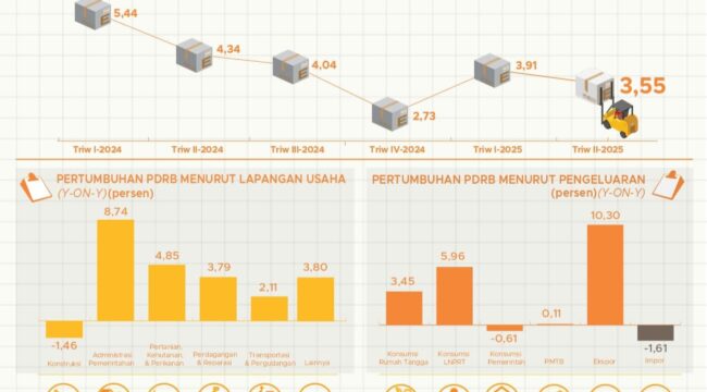 Data BPS Provinsi Papua