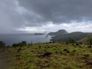 Ilustrasi / Euforia.id