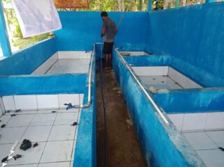Konservasi Penyu di Kampung Yewena / dok BBKSDA Papua