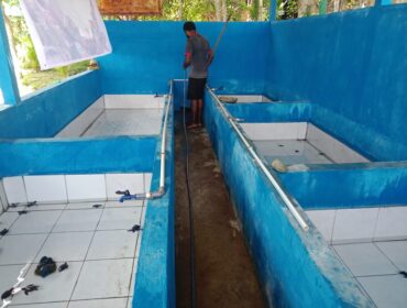Konservasi Penyu di Kampung Yewena / dok BBKSDA Papua