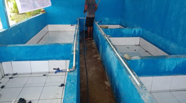 Konservasi Penyu di Kampung Yewena / dok BBKSDA Papua
