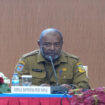 ​Plt Kepala Bapperida Papua, Jimmy Alberto Thesia / dok Papua.go.id