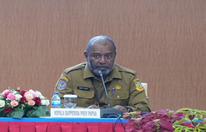 
					​Plt Kepala Bapperida Papua, Jimmy Alberto Thesia / dok Papua.go.id