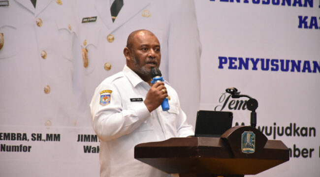 Plt Kepala Bapperida Papua, Jimmy Alberto Thesia / dok papua.go.id