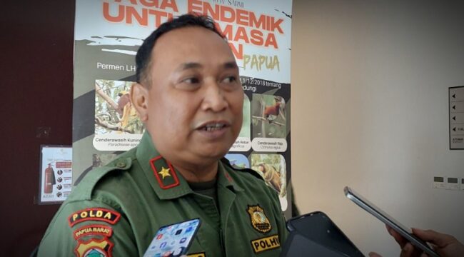 Kepala BBKSDA Papua, Johny Santoso Silaban / euforia.id 