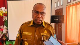 Bupati Mamberamo Raya, Robby Wilson Rumansara