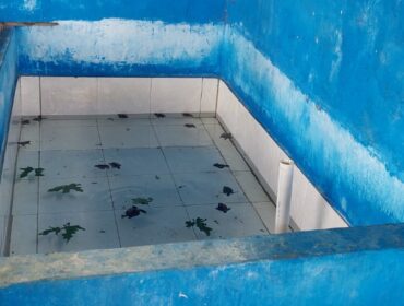 Tampak tukik yang sedang ditampung di bak penampungan Kelompok Markisi Nung Yewena - Doromena sebelum dilepasliarkan / Euforia.id