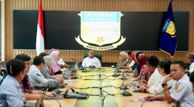 Pertemuan Gubernur Papua, Matius Fakhiri dengan tim audit dari Kemenkes / Istimewa