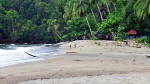 Pantai Amai / Euforia.id