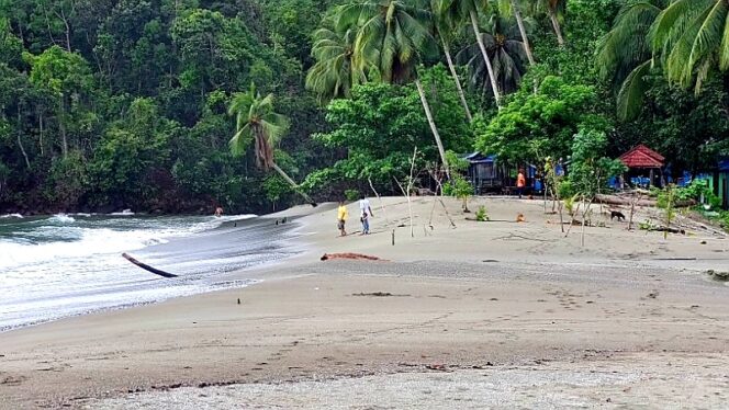 
					Pantai Amai / Euforia.id