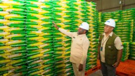 Gubernur Papua, Matius D. Fakhiri mengecek stok beras di gudang Bulog / Istimewa