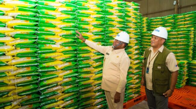 Gubernur Papua, Matius D. Fakhiri mengecek stok beras di gudang Bulog / Istimewa
