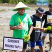 Gubernur Papua, Matius D. Fakhiri melakukan penanaman perdana padi di Kampung Tetom Jaya, Distrik Bonggo, Kabupaten Sarmi / Istimewa