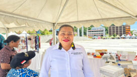 Kepala Bidang Penempatan dan Pelatihan, Fransiska H. Rerey / dok Papua.go.id