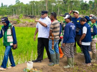 Gubernur Papua, Matius D. Fakhiri saat meninjau lokasi cetak sawah di Kabupaten Keerom / Istimewa