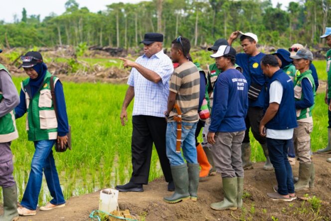 
					Gubernur Papua, Matius D. Fakhiri saat meninjau lokasi cetak sawah di Kabupaten Keerom / Istimewa