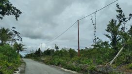 Tampak tiang listrik baru yang terpasang di Jalur Tengah, Kampung Bakribo, Distrik Oridek, Biak Numfor, Selasa (24/2).
