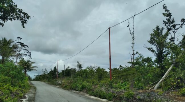 Tampak tiang listrik baru yang terpasang di Jalur Tengah, Kampung Bakribo, Distrik Oridek, Biak Numfor, Selasa (24/2).