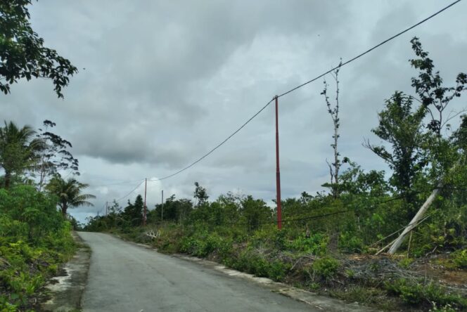 
					Tampak tiang listrik baru yang terpasang di Jalur Tengah, Kampung Bakribo, Distrik Oridek, Biak Numfor, Selasa (24/2).