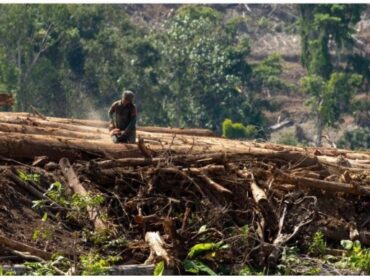 Ilustrasi / dok Walhi