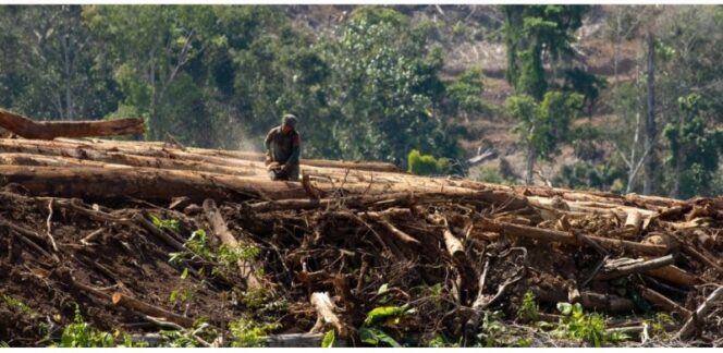 
					Ilustrasi / dok Walhi