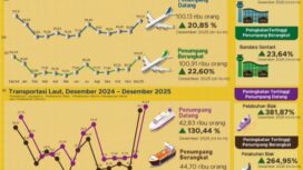 Infografis transportasi di Provinsi Papua / dok BPS Papua