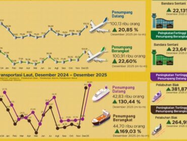 Infografis transportasi di Provinsi Papua / dok BPS Papua