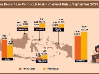 Infografis BPS 