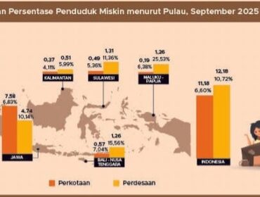 Infografis BPS 