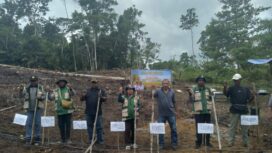 Penanaman perdana padi gogo dan kopi yang diinisiasi oleh Kelompok Tani Sendaro di Kampung Makmakerbo, Distrik Oridek, Biak Numfor / Yamander