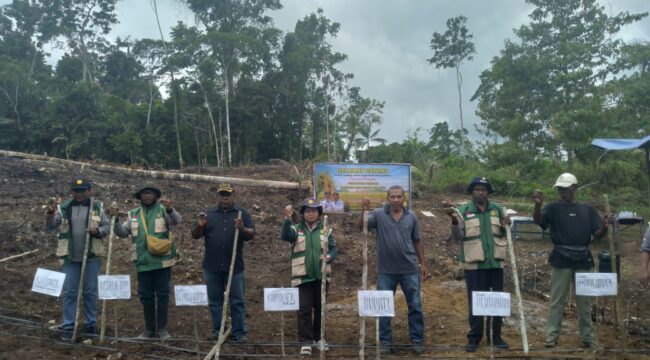Penanaman perdana padi gogo dan kopi yang diinisiasi oleh Kelompok Tani Sendaro di Kampung Makmakerbo, Distrik Oridek, Biak Numfor / Yamander